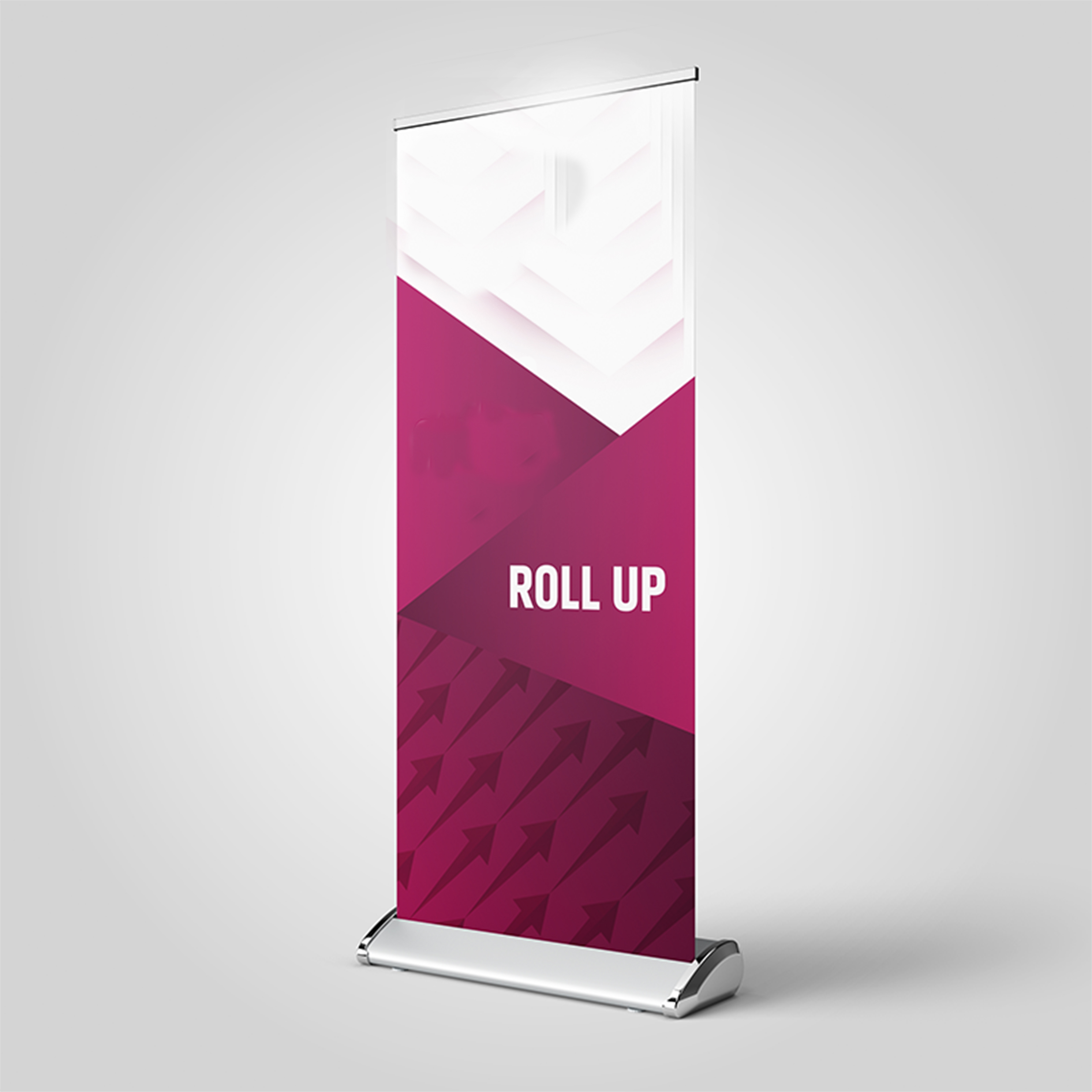 Roll-Up Banner Logolu 80x200