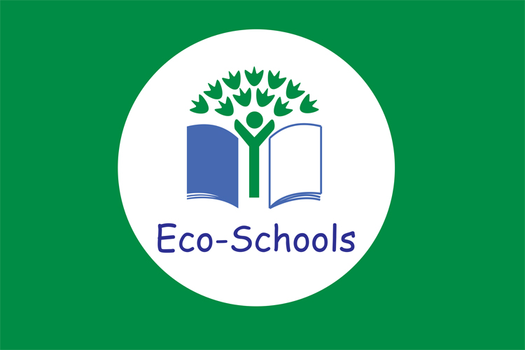 Eco School Bayrak 70x105